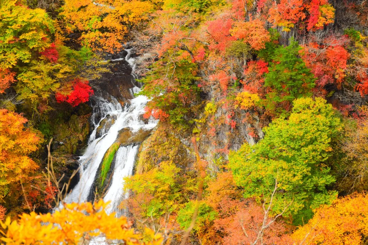 Waterfall among autumn foliage in Nikko National Park