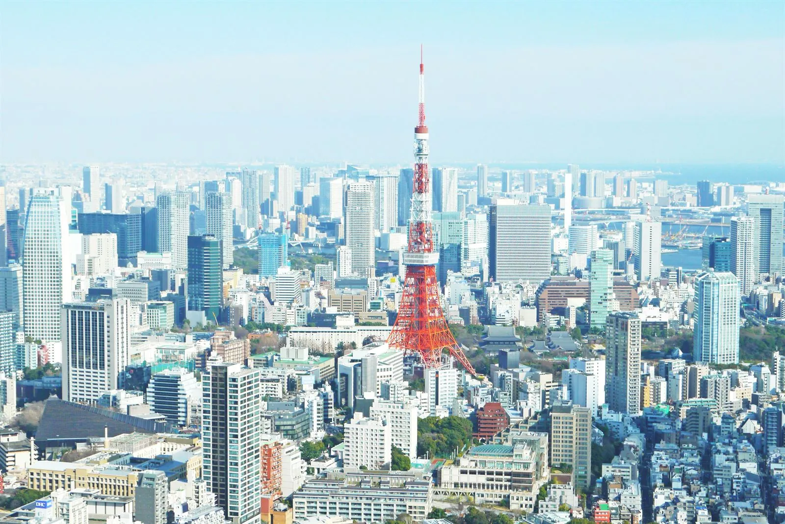 Travel guide to Tokyo: what to see, neighbourhoods and practical tips
